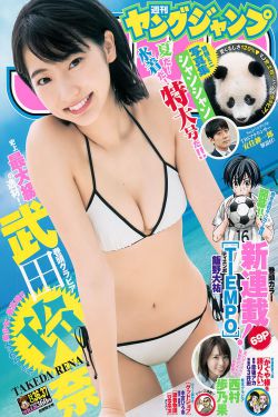 狂飙电视剧40集在线观看免费狂飙